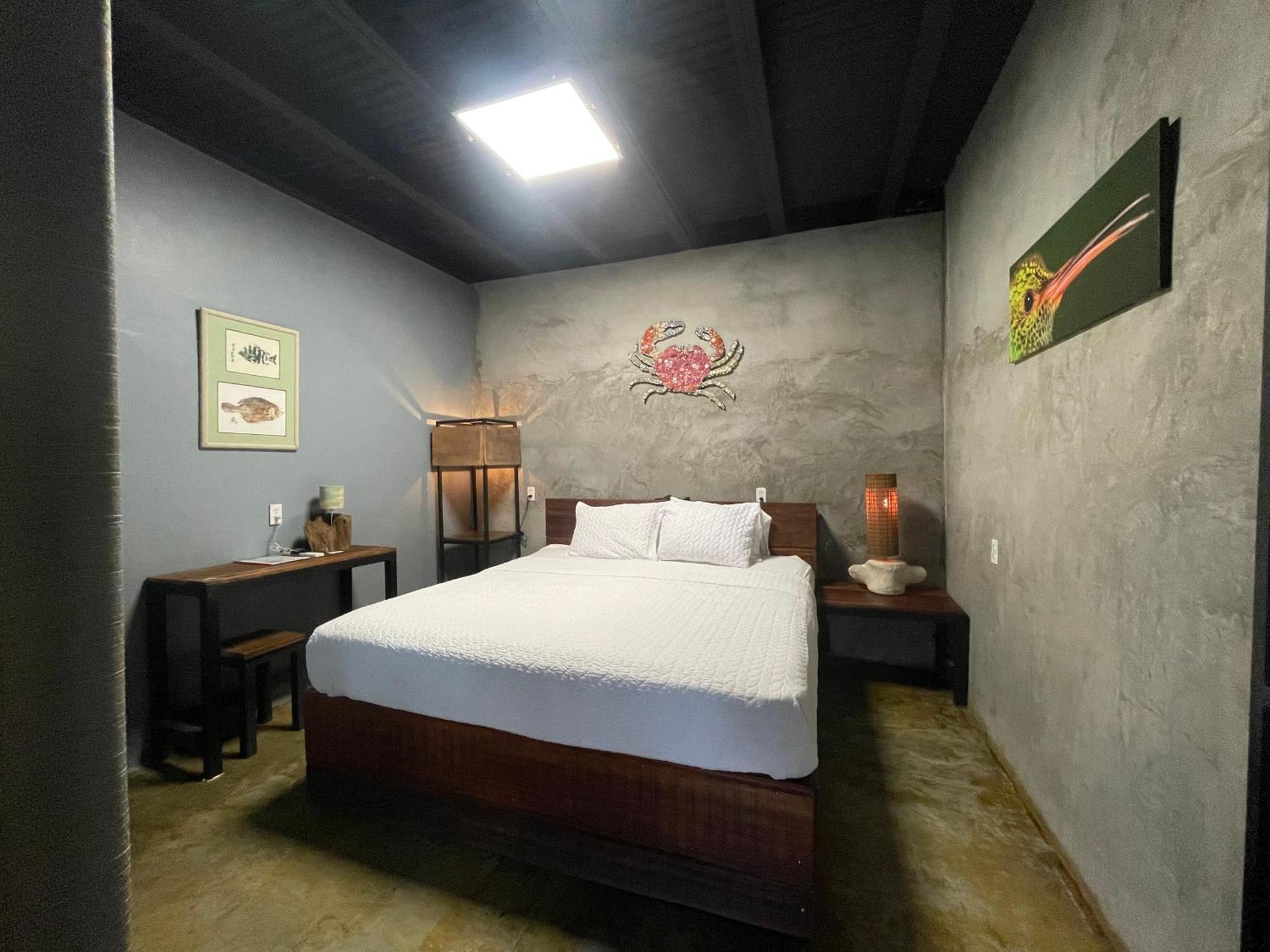 San Carlos Surf Resort & Eco Lodge Luaran gambar